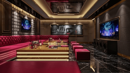 成都帝盛酒店夜总会娱乐魅力探秘,领航国际夜总会特色尊享体验